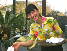 おしぼり挨拶